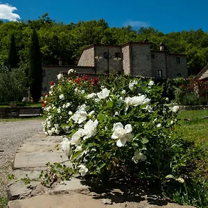  Feriegård Azienda Agricola Il Pozzo Italien